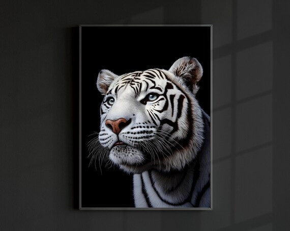 White Bengal Tiger Close Up Black Background Dramatic Animal Print