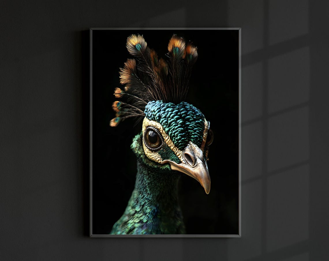 Peacock Head Close Up Iridescent Feathers Black Background Wall Print