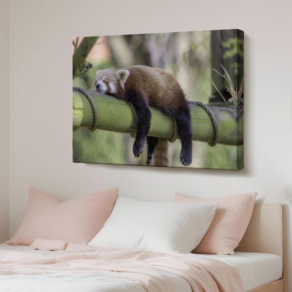 Red Panda Decorative Canvas Painting Wall Decor Gift For Nature Enthusiasts Animal Art Housewarming Gifts Large