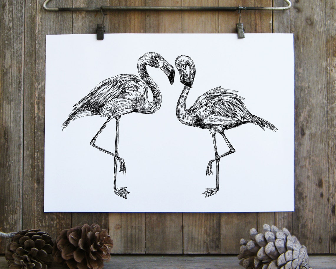 Two Flamingos Pen And Ink Sketch Elegant Tropical Bird Wall Print