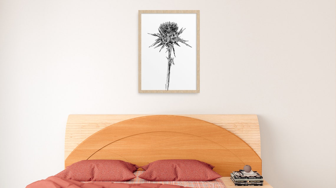 Wild Thistle Head Minimal Black White Botanical Sketch Art Print
