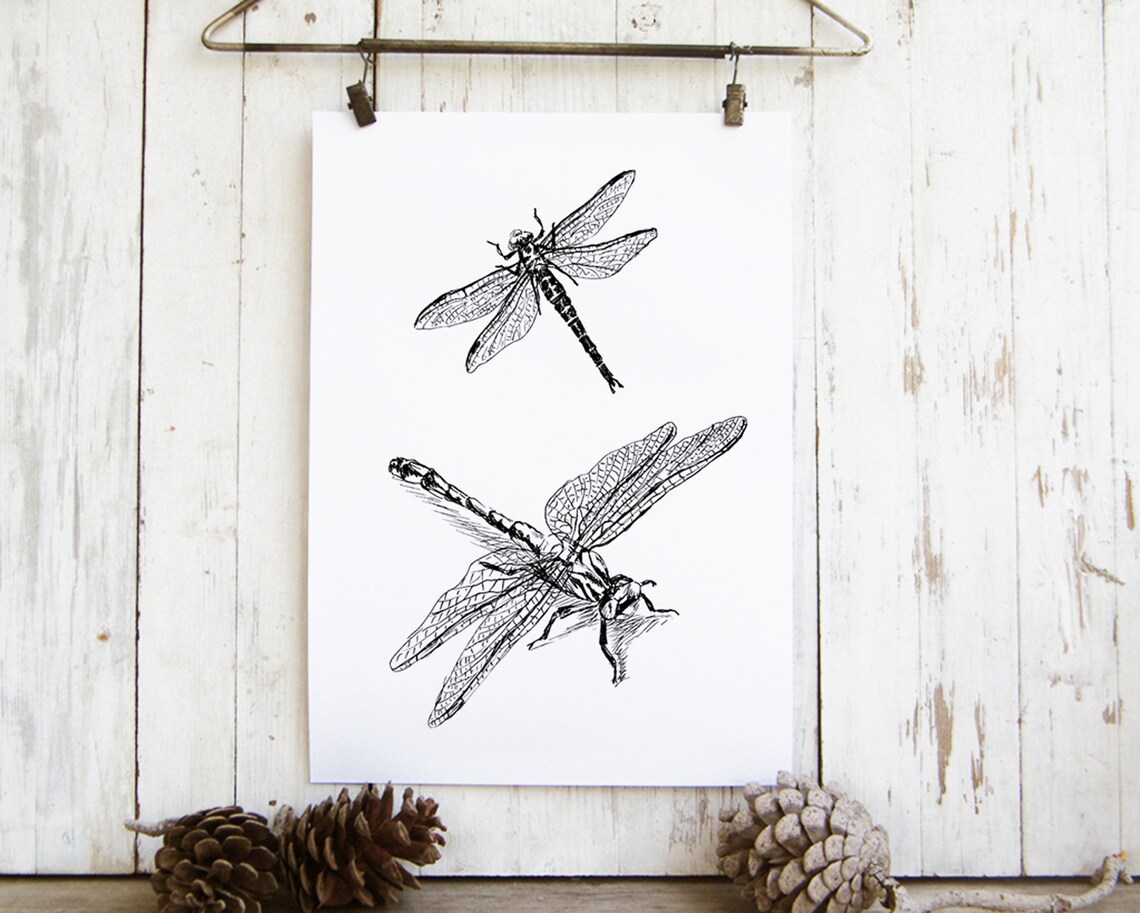 Dragonfly Ink Line Art Pair of Dragonflies Nature Drawing Poster - Image 3