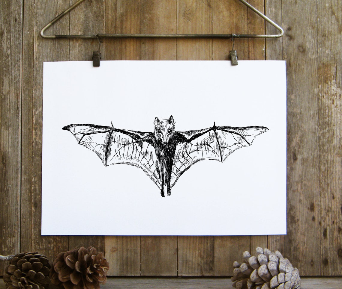 Bat With Spread Wings Ink Sketch Gothic Halloween Animal Art Poster - Image 3