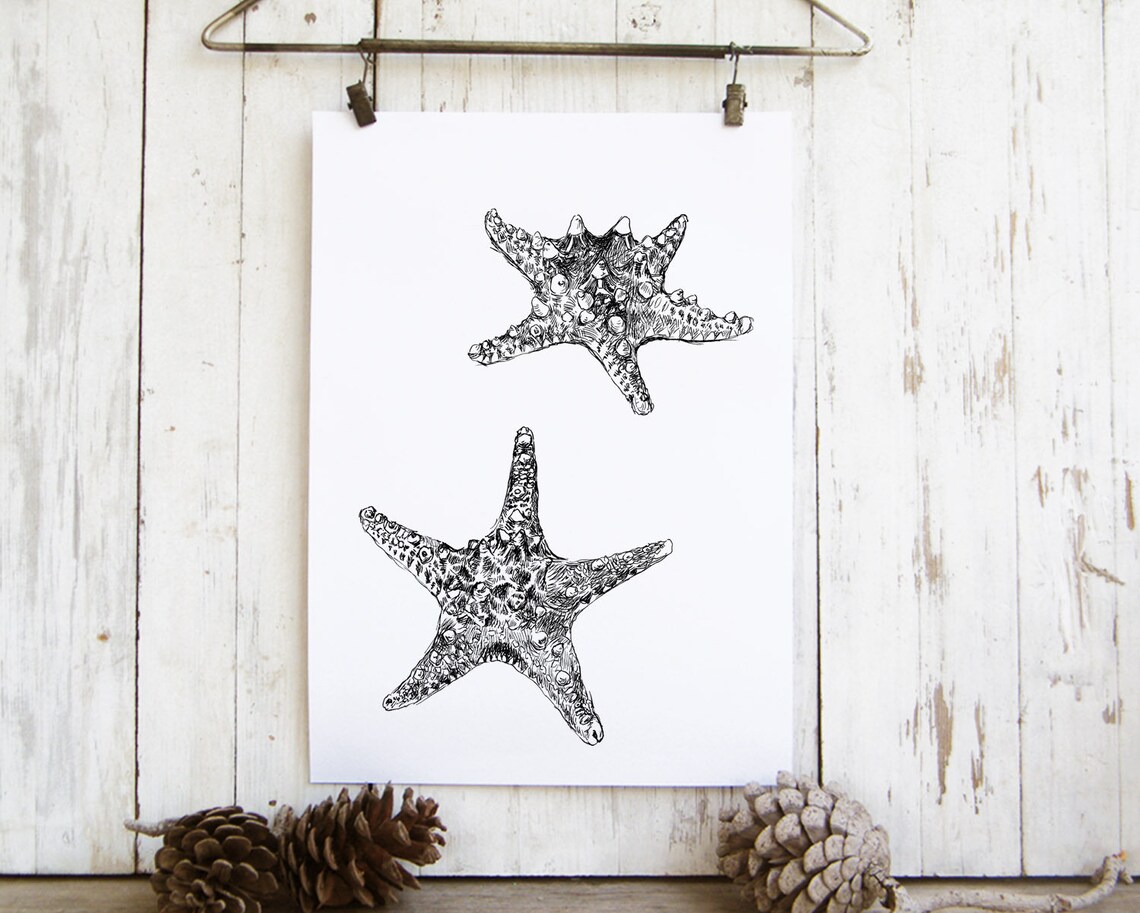 Black and White Starfish Ink Sketch Nautical Coastal Art Poster - Image 2