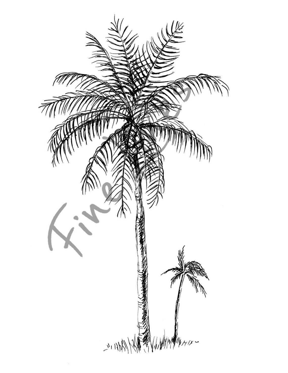 Botanical Print Art Palm Tree Art Botanical Art Palm Tree Print Wall Art Eco Friendly Black And White Prints - Image 2