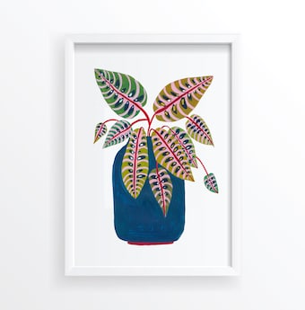 Botanical Print Prayer Plant Botanical Illustration Home Decor House Plants Dorm Decor Dorm Wall Art