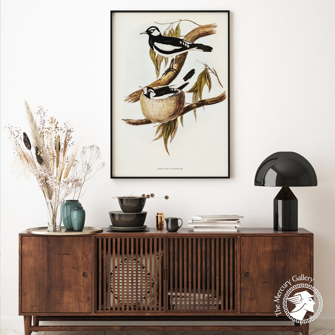 Vintage Magpie-Lark Mud Nest Antique Australian Bird Illustration Art - Image 6