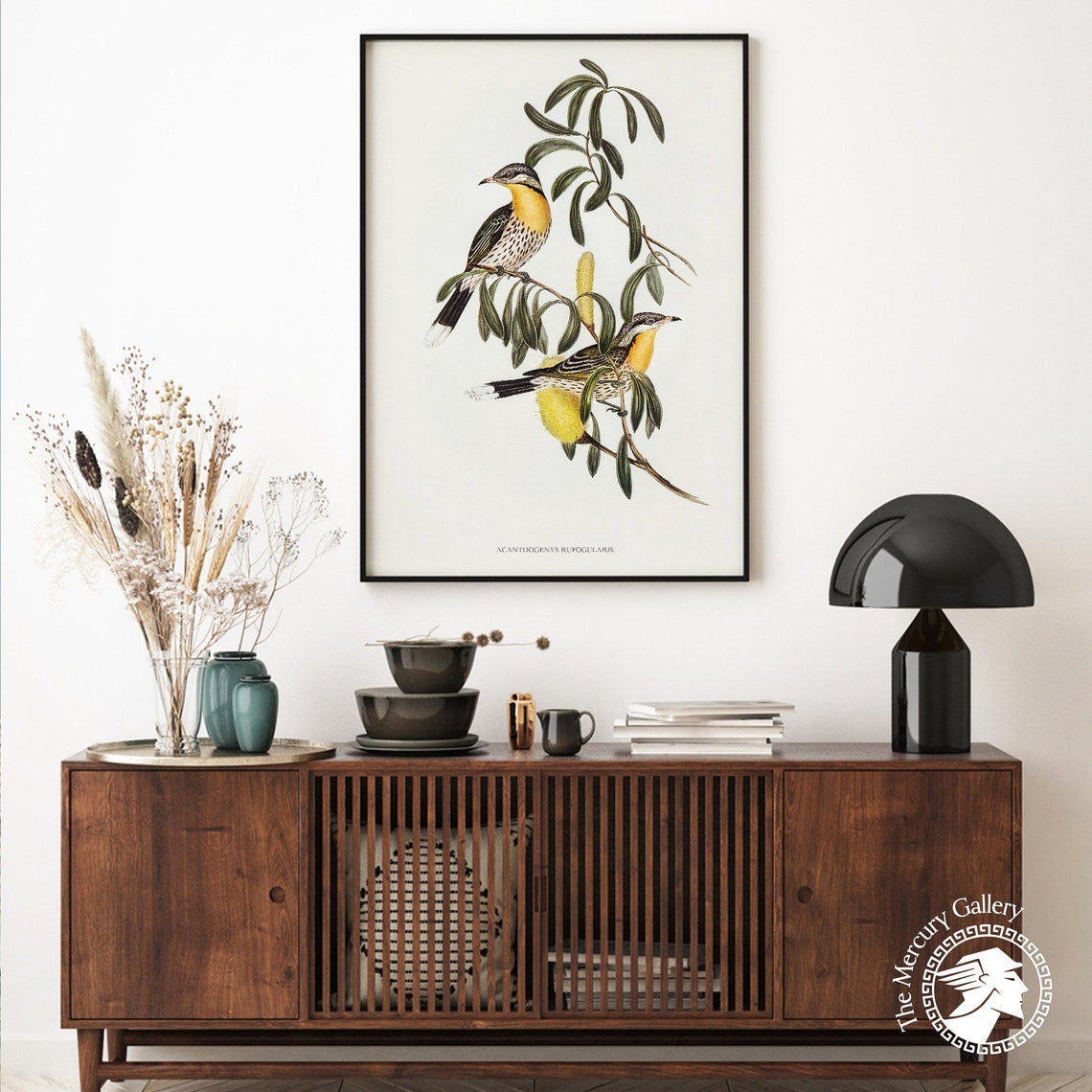 Spiny Cheeked Honeyeater Vintage Australian Bird Illustration Print - Image 6