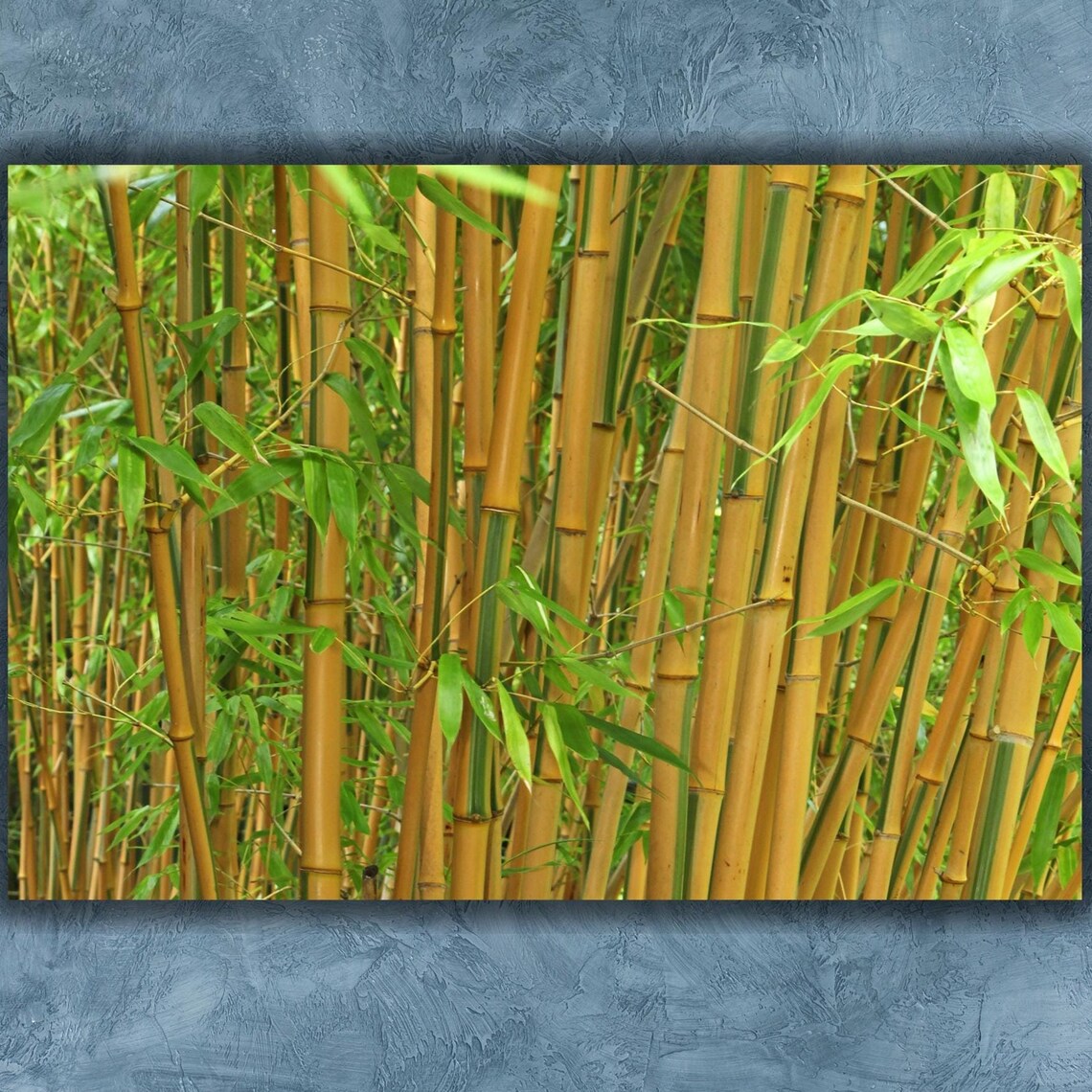 Golden Bamboo Forest Stalks Green Leaves Asian Zen Nature Poster