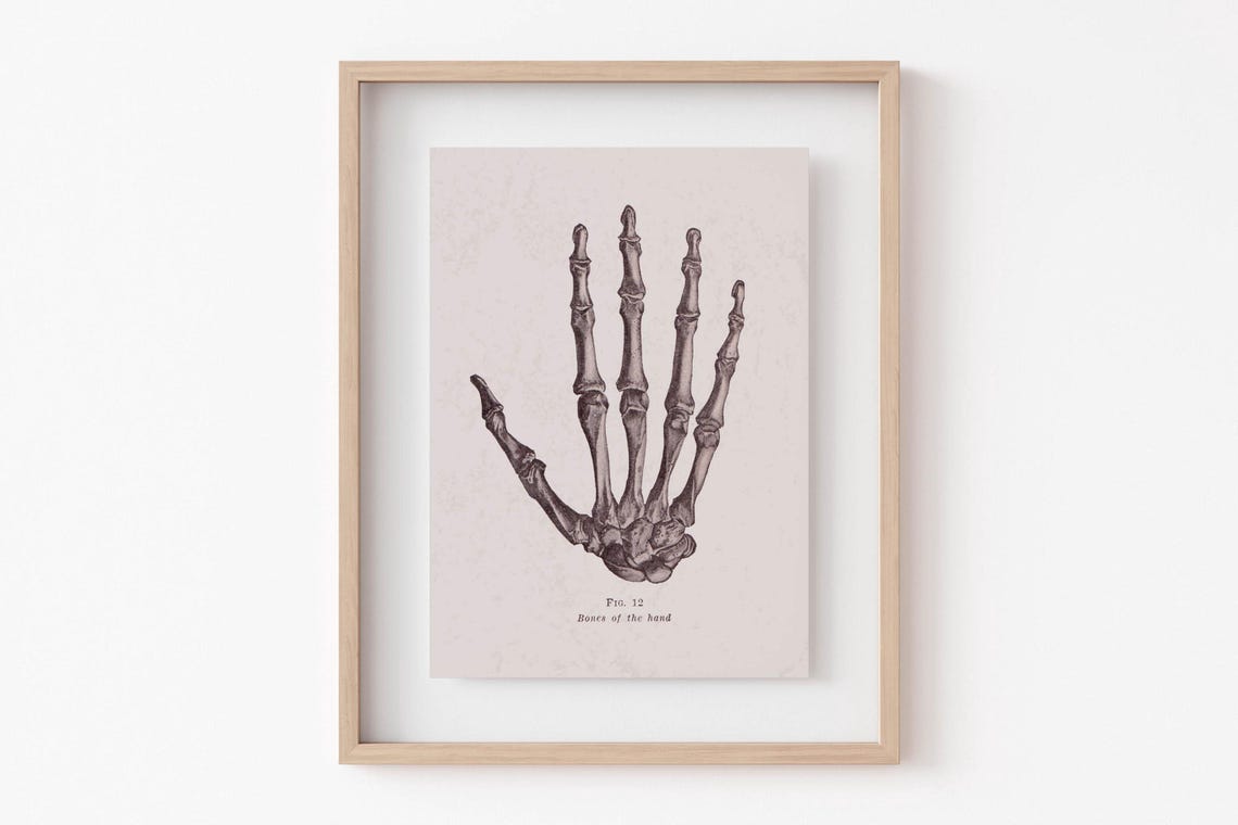 Vintage Anatomy Hand Skeleton Bones Of The Hand Figure 12 Poster - Image 6