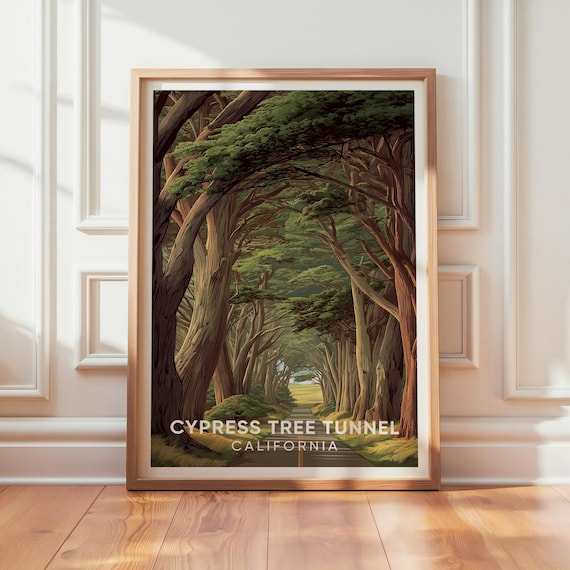 Cypress Tree Tunnel Road California Vintage Nature Travel Poster