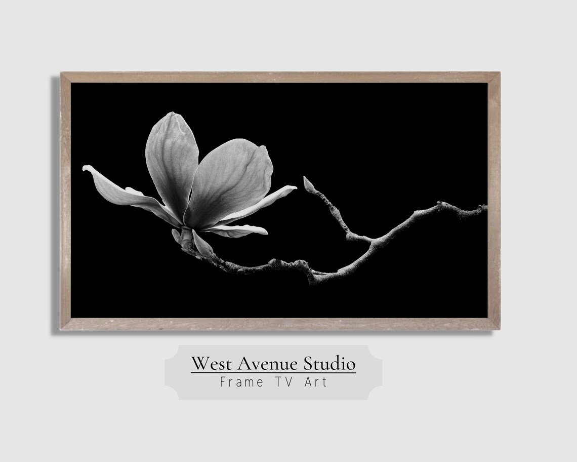 Black and White Magnolia Blossom Branch Moody Botanical Photo Poster