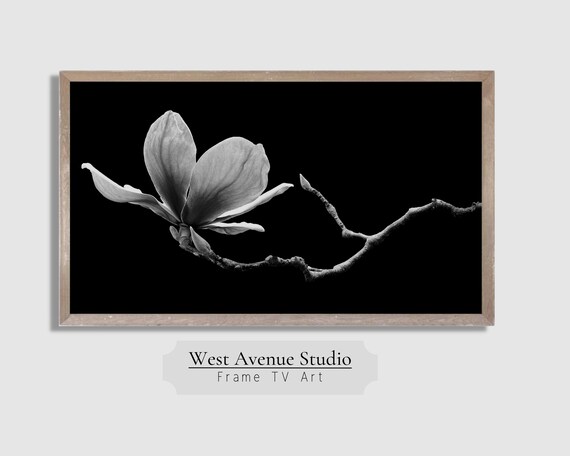Frame Tv Art Modern Neutral Black And White Flower Art Dark Moody Wall Decor Instantdigital Tv Art Screen Saver 068