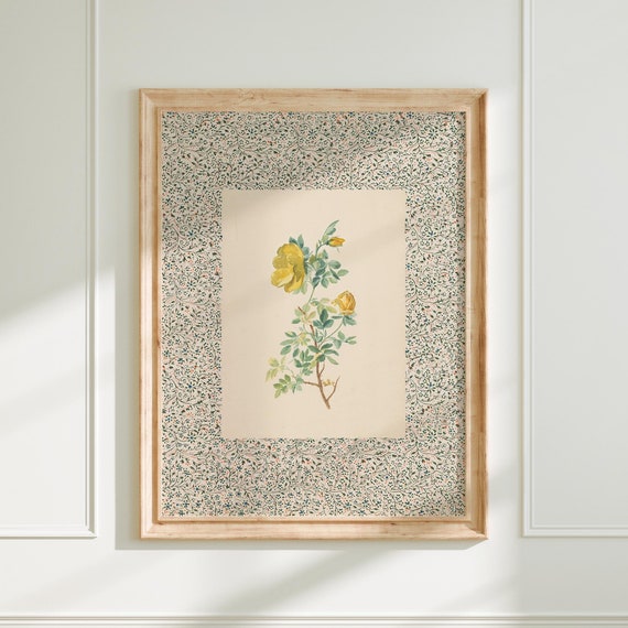 Vintage Rose Botanical Art Print, Farmhouse Cottagecore