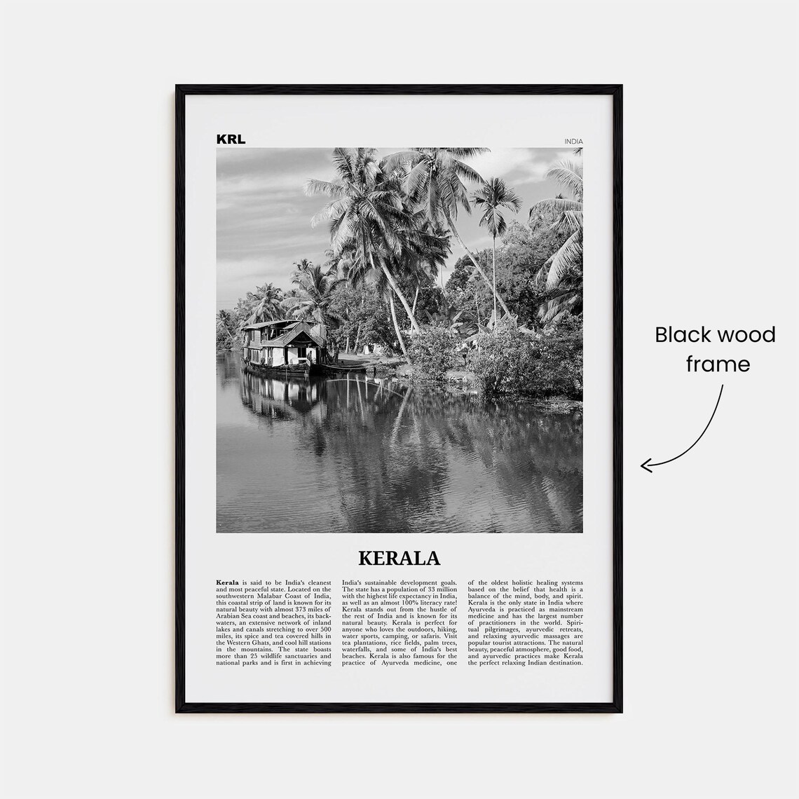 Black And White Kerala Travel Poster, India Art - Image 3