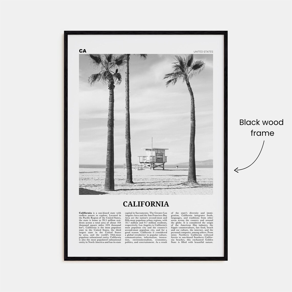 California Black and White Travel Poster, North America - Image 3