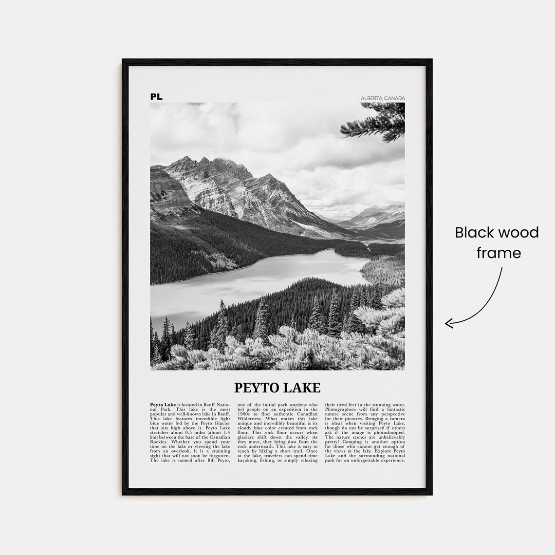 Peyto Lake Black and White Travel Poster Print - Image 3