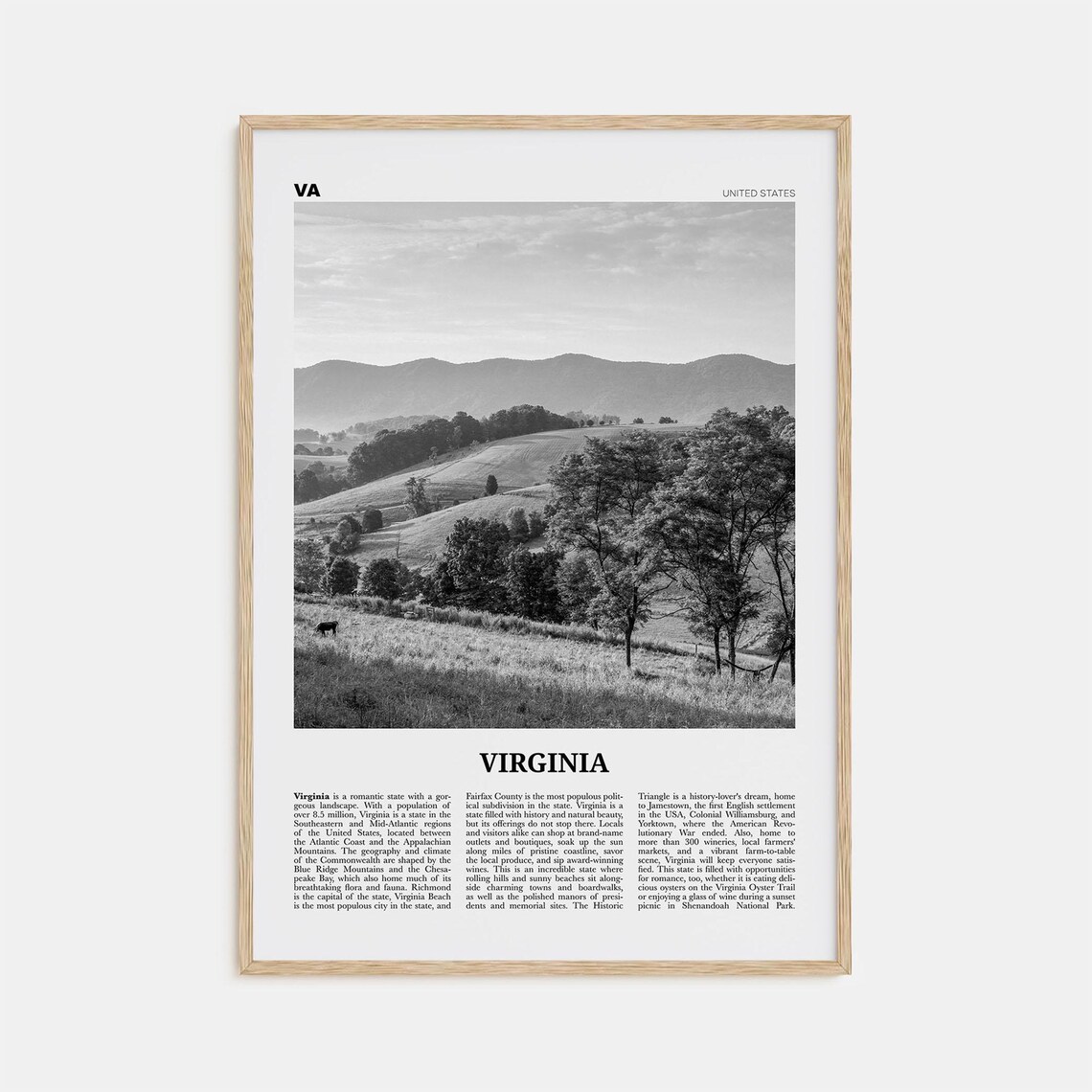 Virginia Black and White Travel Poster, Wall Art
