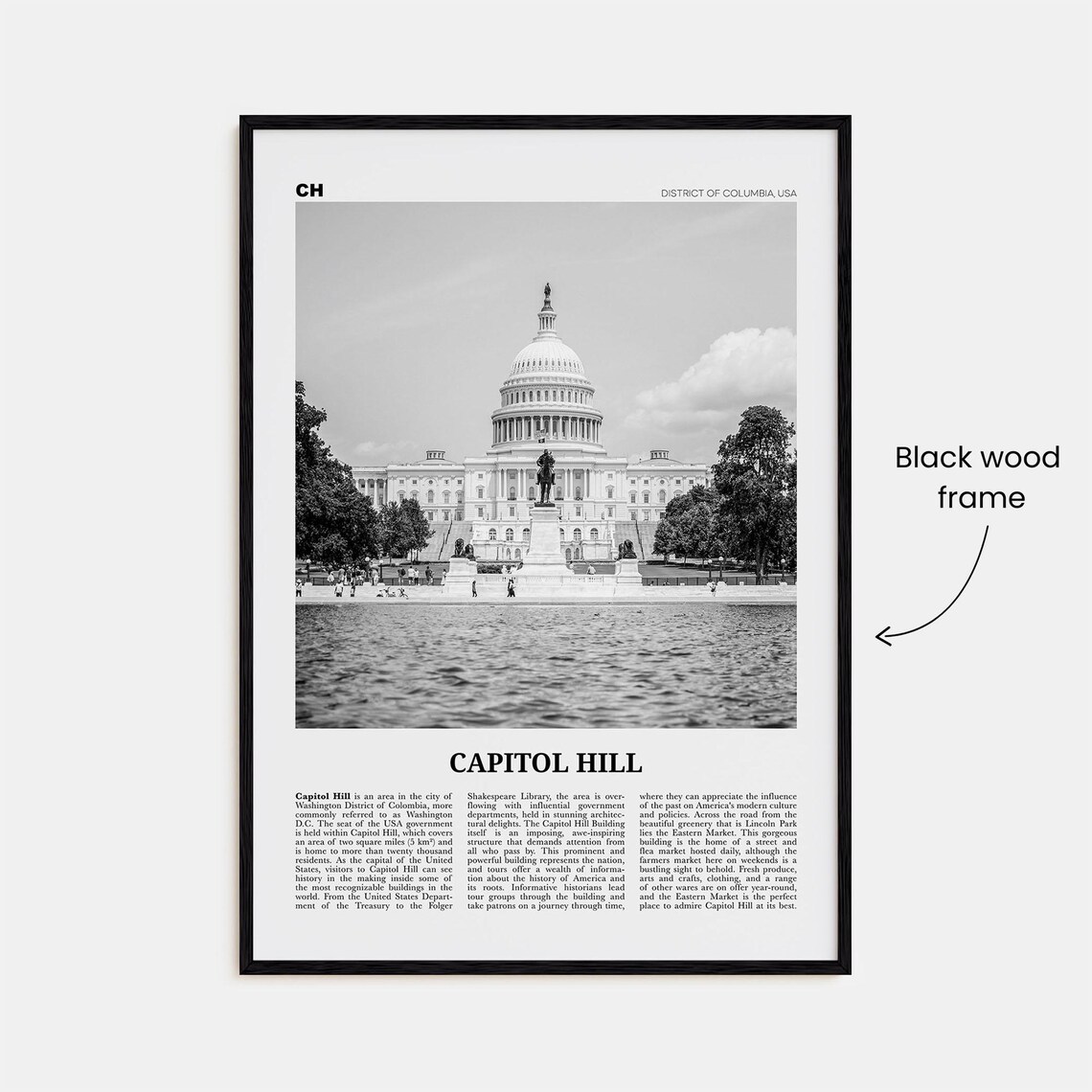 Capitol Hill Black And White Washington Travel Poster - Image 3