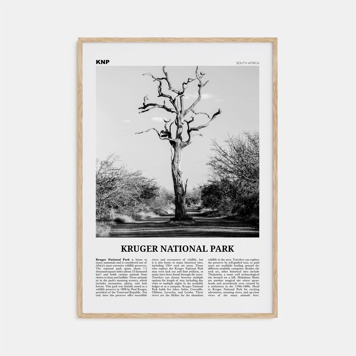 Kruger National Park Black and White Travel Poster