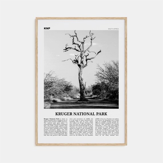 Kruger National Park Black and White Travel Poster