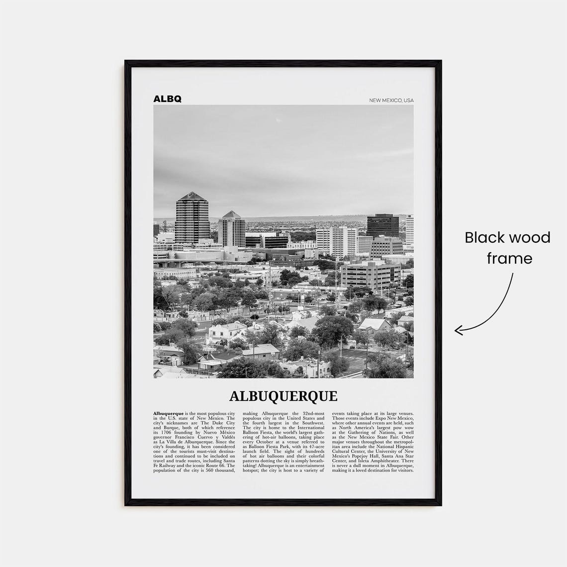 Albuquerque Black and White Travel Poster, New Mexico - Image 3