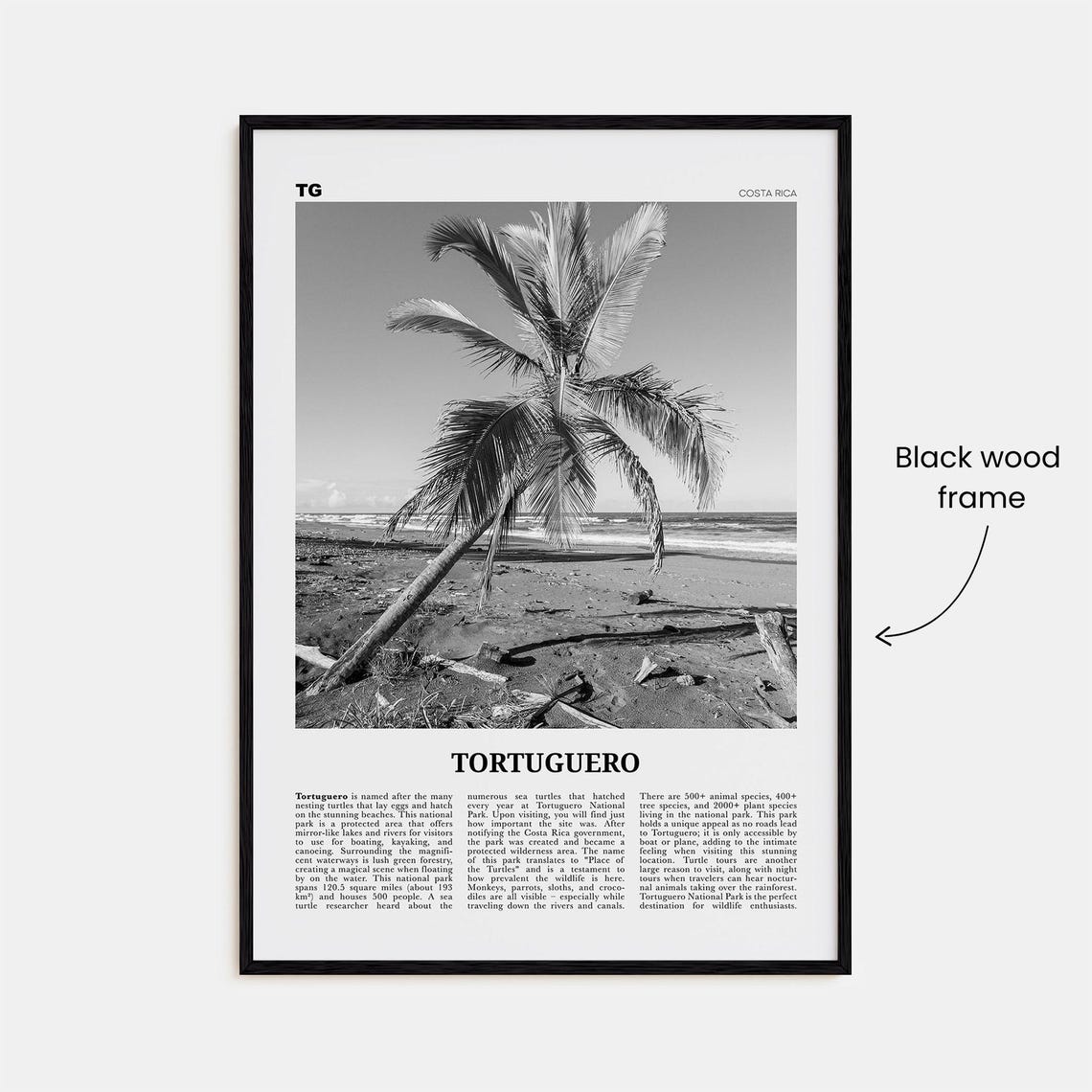 Tortuguero Print Black And White Tortuguero Wall Art Tortuguero Poster Tortuguero Photo Tortuguero Wall Dcor Costa Rica - Image 3