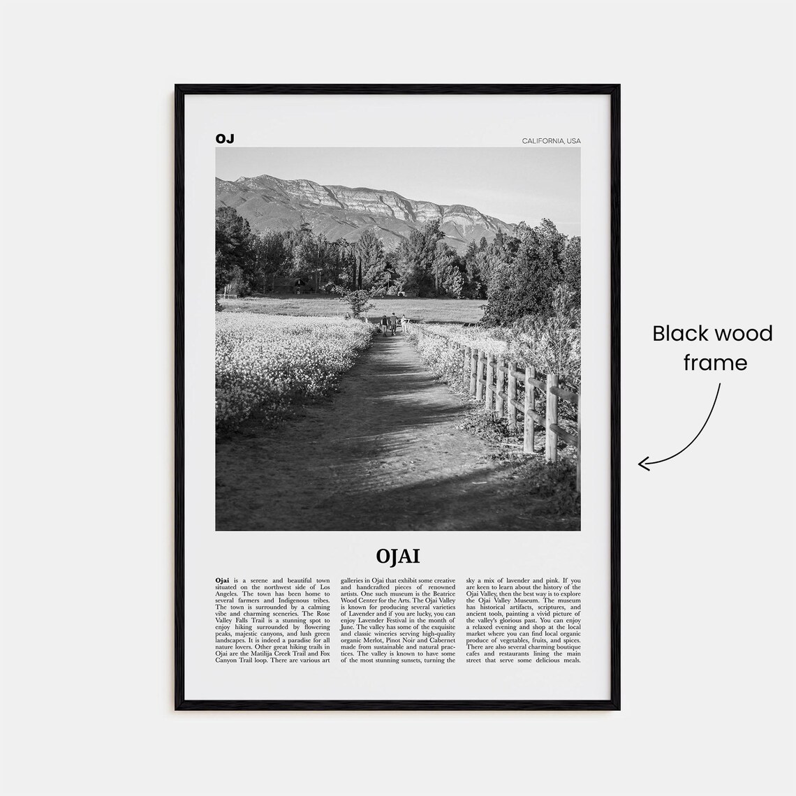 Ojai Black and White Travel Poster, California USA - Image 3