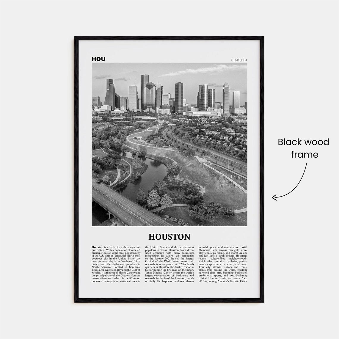 Houston Black and White No. 4 Travel Poster - Image 3
