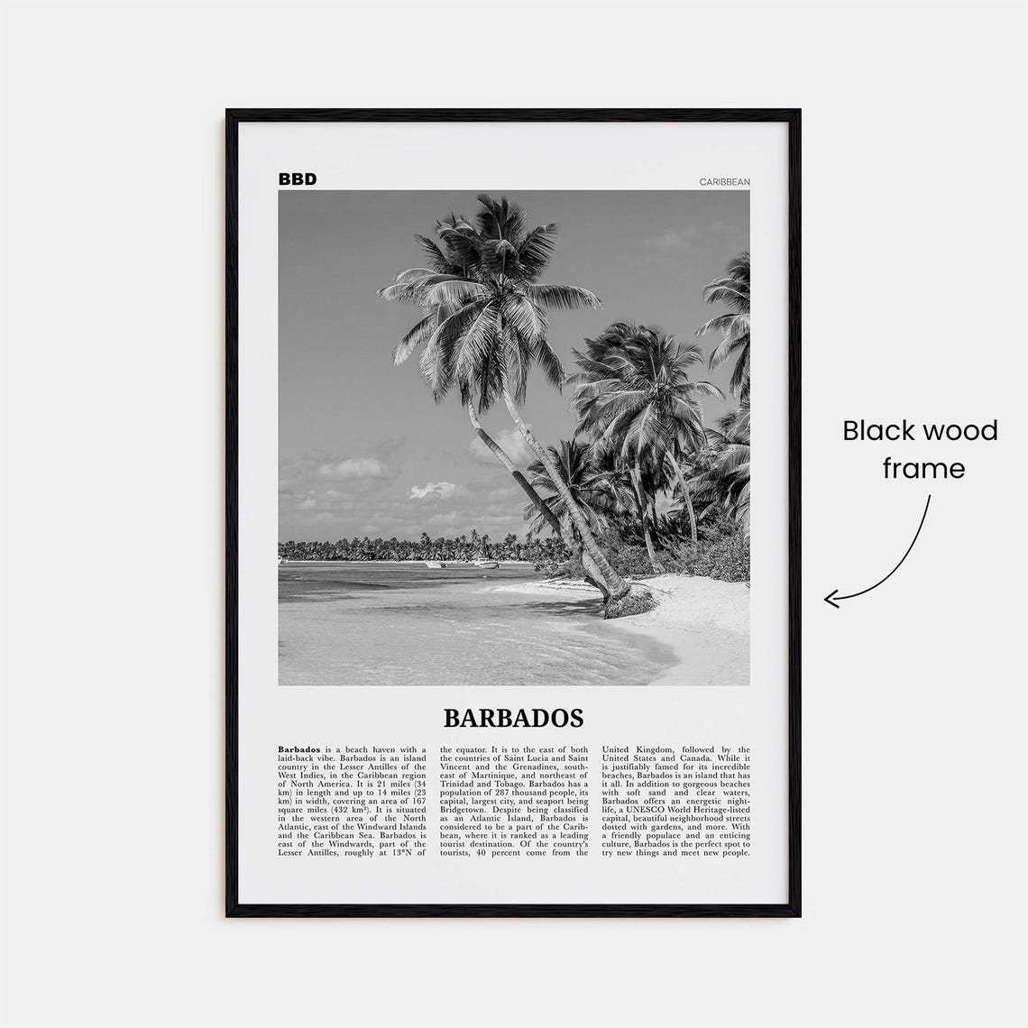 Barbados Black And White Travel Poster, No. 1 - Image 3