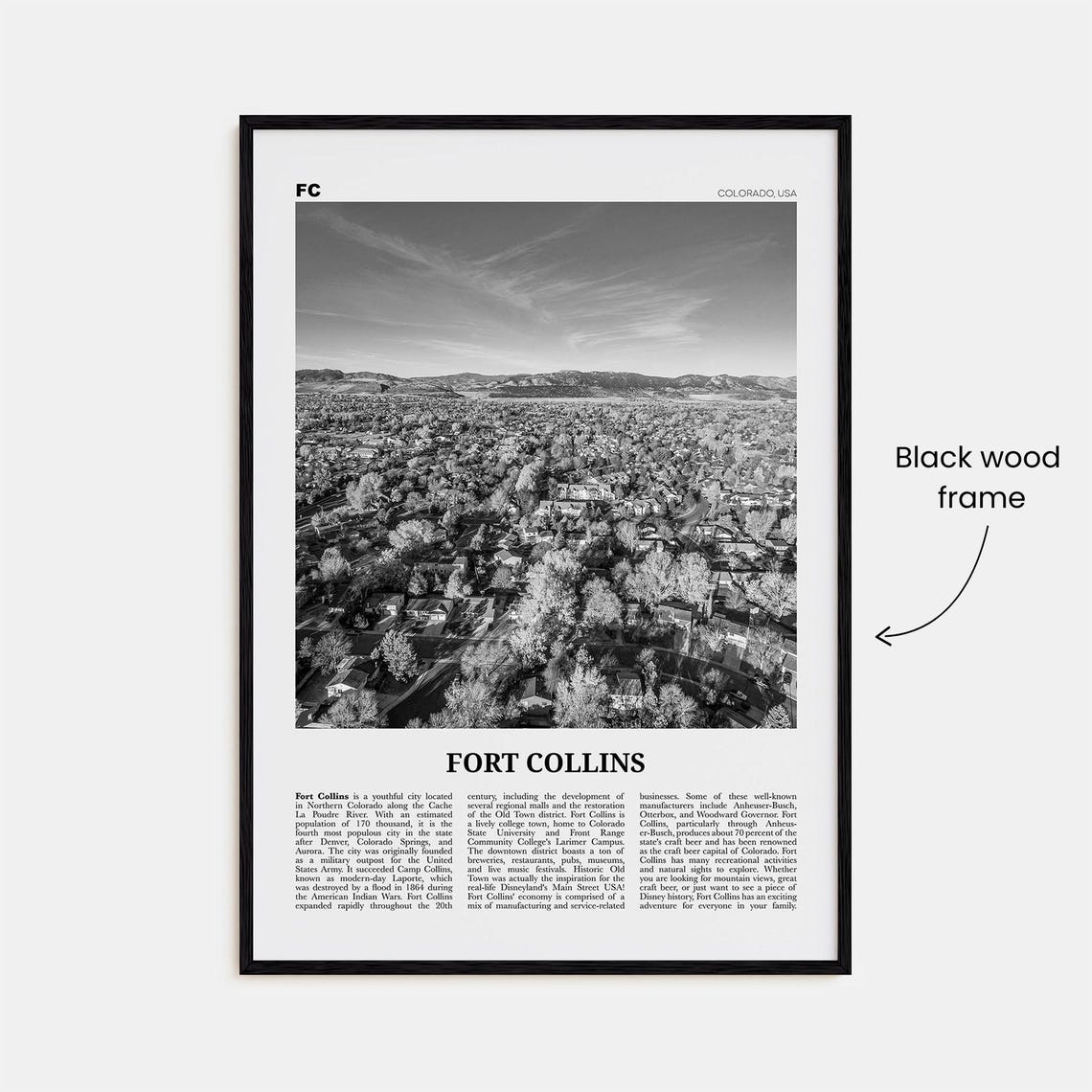 Fort Collins Black And White Travel Poster - Image 3