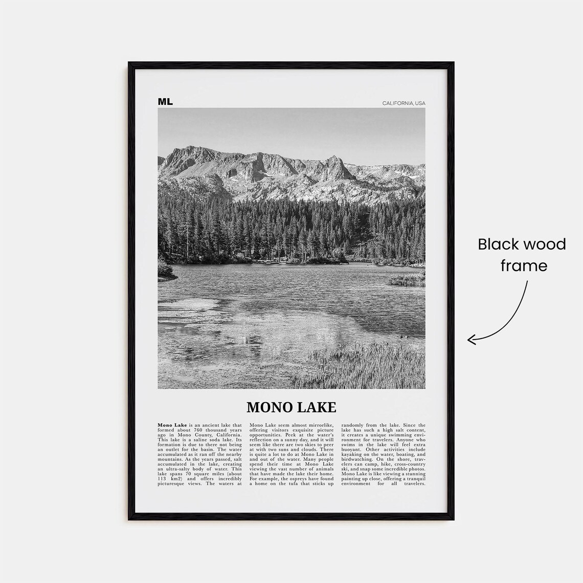 Mono Lake Travel Poster, California Map Art Print - Image 3