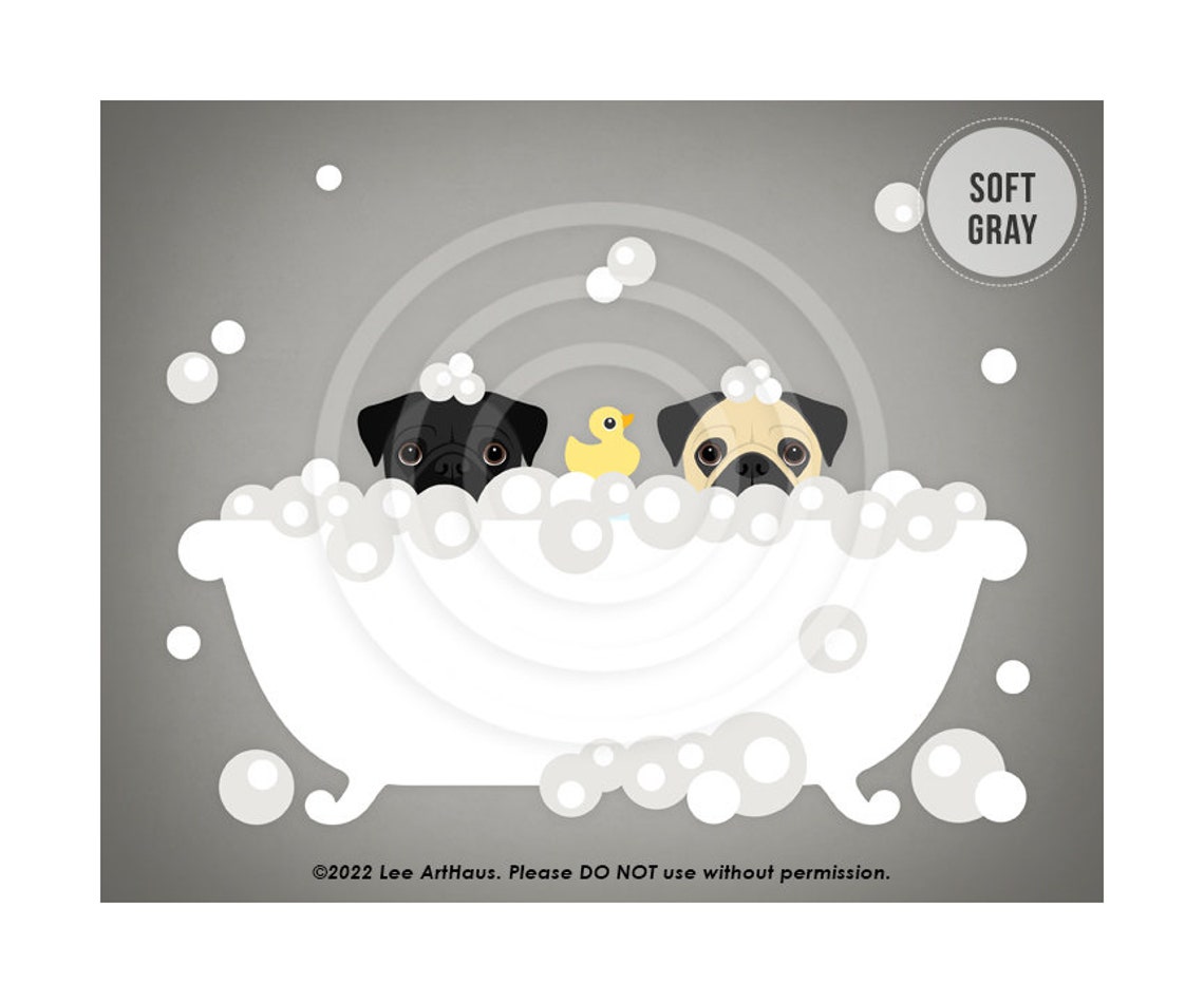 Two Pugs Black And Fawn Peeking Bubble Bath Teal Cute Dog Poster - Image 3