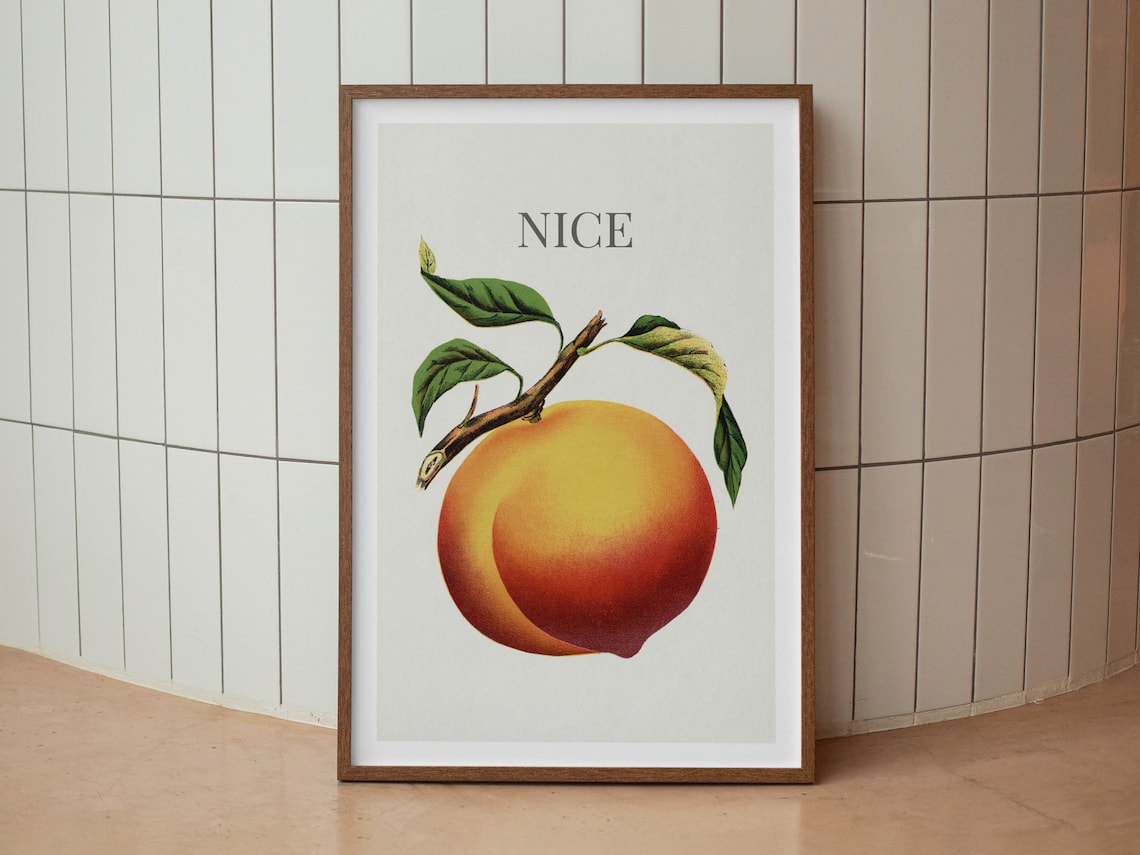 Nice Peach Funny Bathroom Decor Retro Poster