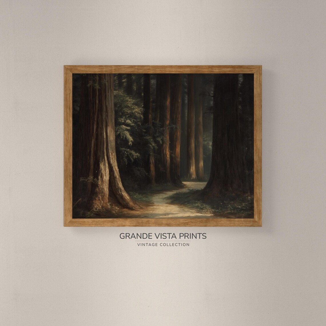 Ancient Forest Path, Redwood Forest Art Print - Image 4