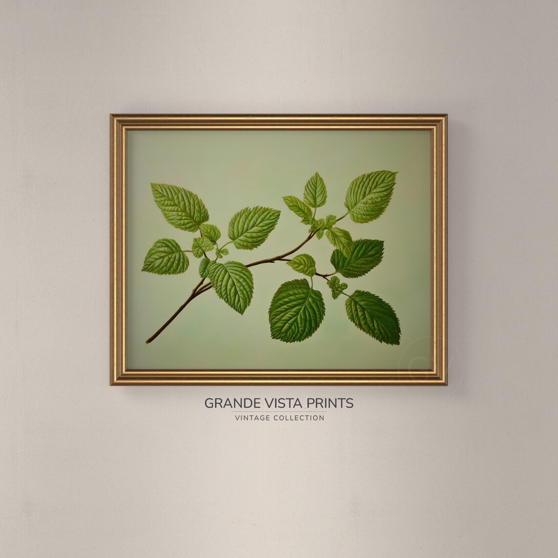 Green Leaf Branch Botanical Study Pale Sage Vintage Nature Wall Art - Image 3