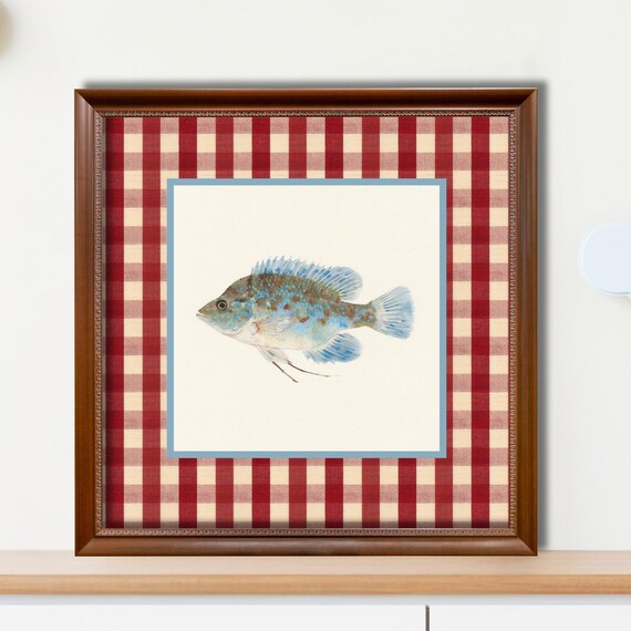 Bluegill Fish Vintage Illustration Red Gingham Border Lakehouse Poster