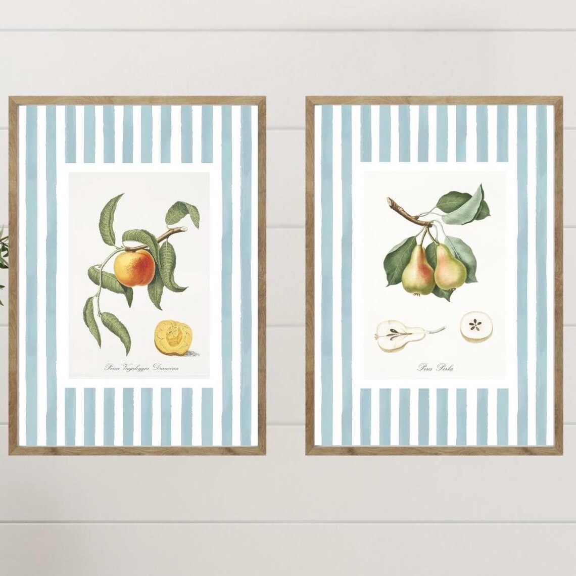 Botanical Peach And Pear Prints French Kitchen Wall Art