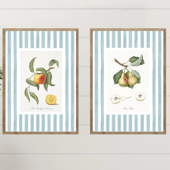 Botanical Peach And Pear Prints French Kitchen Wall Art