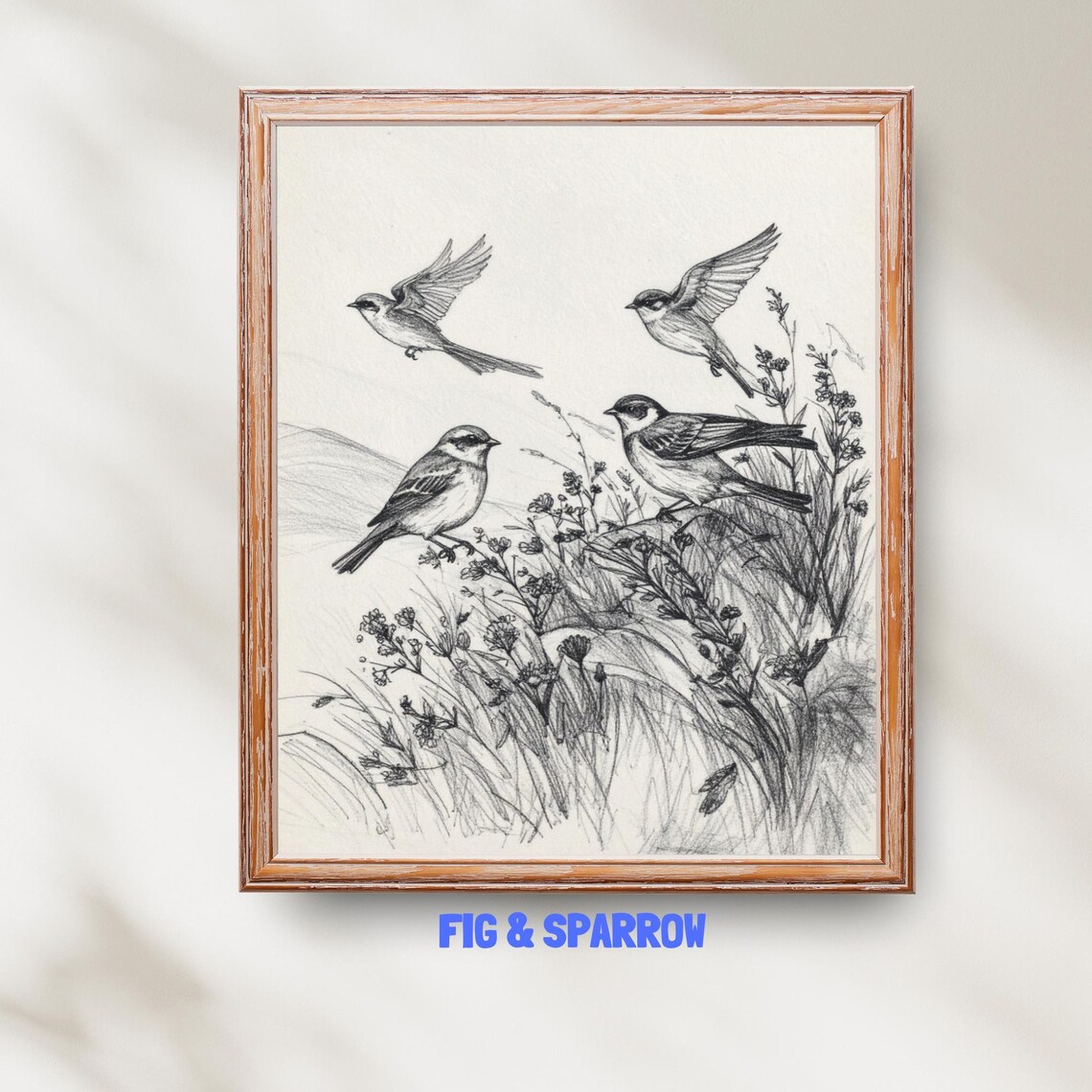 Bird Wall Art, Vintage Pencil Drawing Illustration