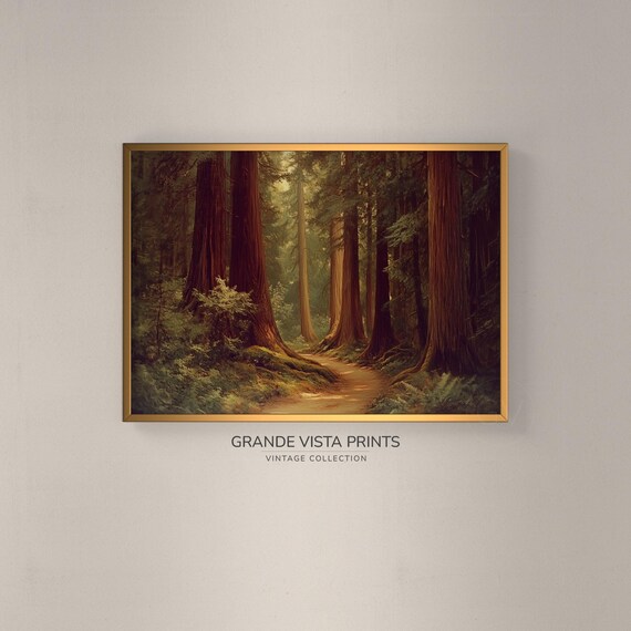 Redwood Forest Landscape Painting Wall Art Forest Trail Wall Art Gv4823