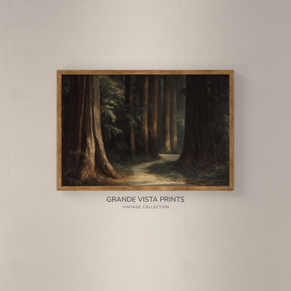 Ancient Forest Path, Redwood Forest Art Print - Image 2