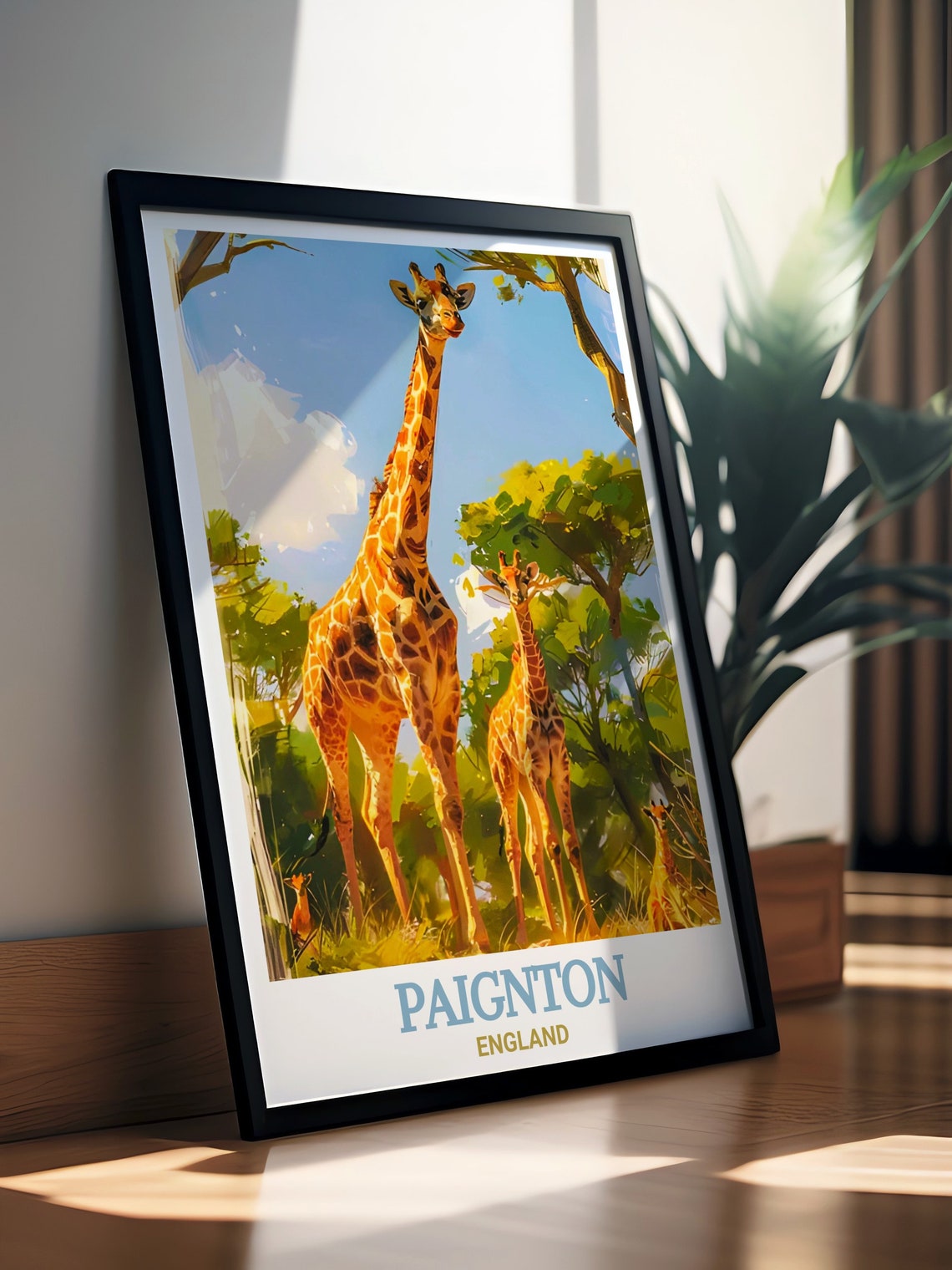 Paignton England Giraffe Family at the Zoo Safari Art Poster - Image 3