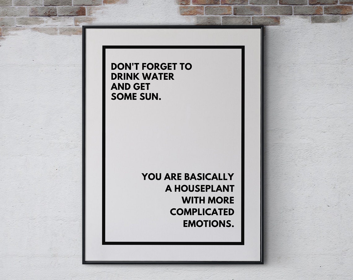 Don't Forget To Drink Water And Get Some Sun Houseplant Quote Poster