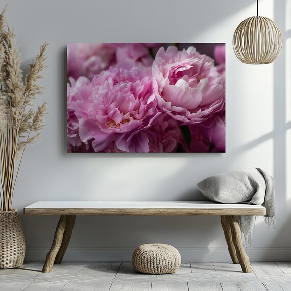 Pink Peonies Close Up Blush Floral Photography Botanical Art Poster