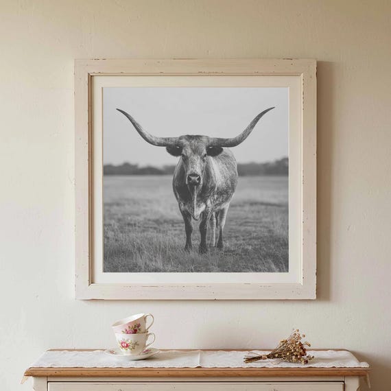 Longhorn Cattle Black White Canvas Western Ranch Wall Art