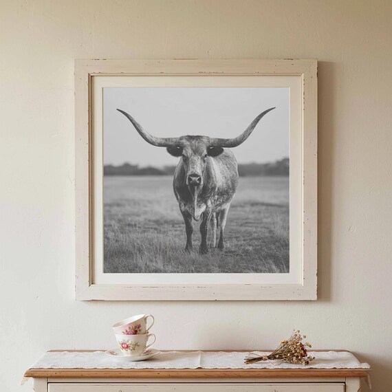 Texas Longhorn Cow Black and White Western Ranch Wall Poster