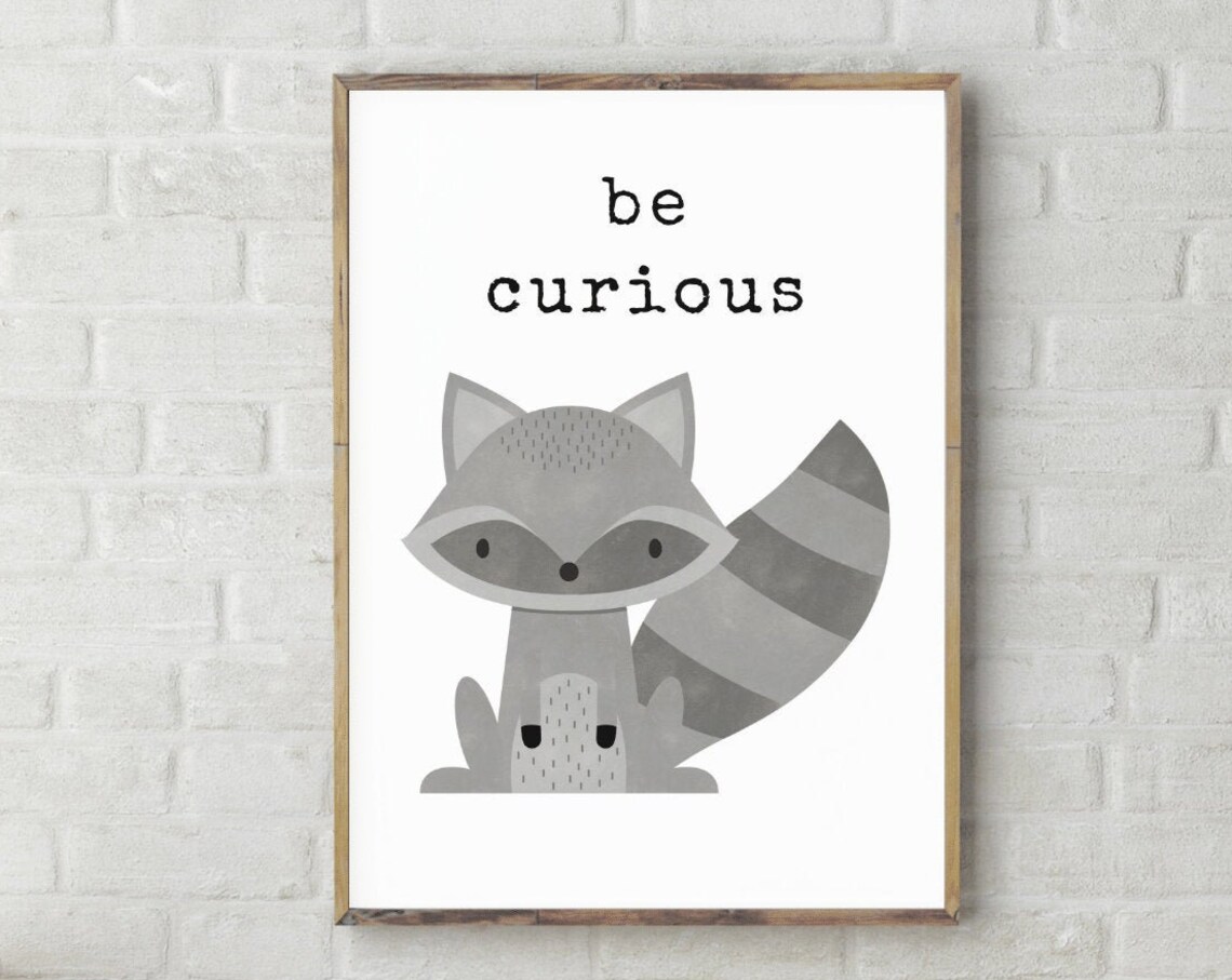 Be Curious Raccoon Woodland Nursery Quote Cute Animal Kids Wall Art Poster