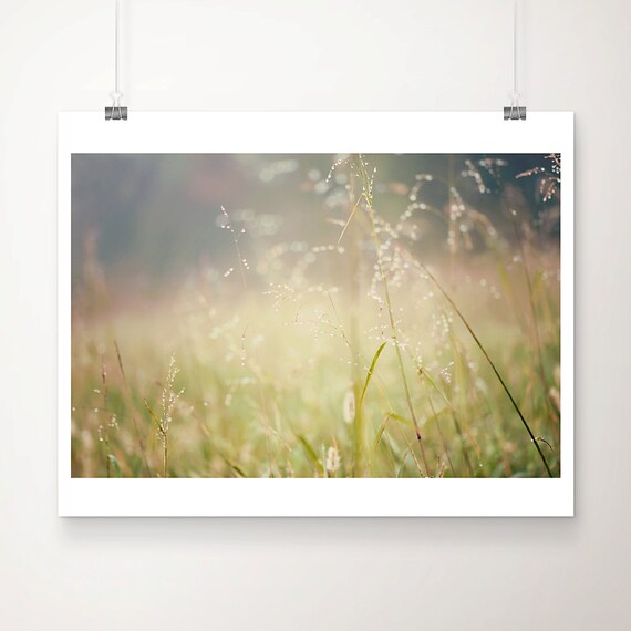 Morning Dew Grass Sparkling Field Ethereal Nature Photo Poster