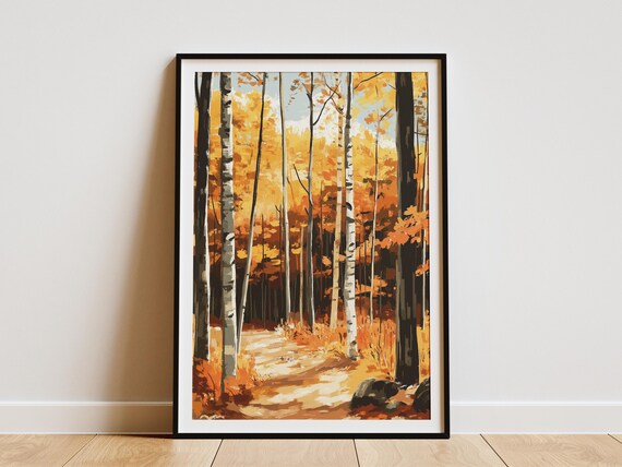 White Birch Trees In Golden Autumn Woods Sunlit Trail Poster